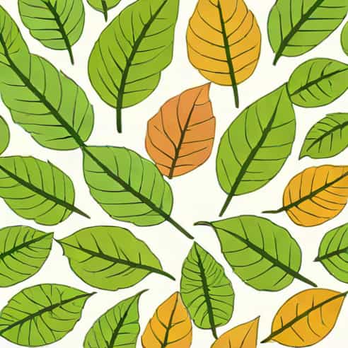 Leaf Base Petiole And Lamina