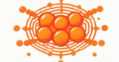 Lipid And Lipid Bilayer Model