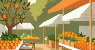 Orange Grove Markets Rozelle