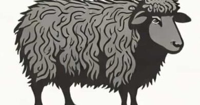 Origin Of Baa Baa Black Sheep