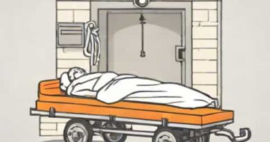Os Assassinatos Da Rua Morgue