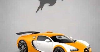 Quantas Bugatti Tem No Brasil