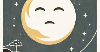 The Moon Was Shining Sulkily