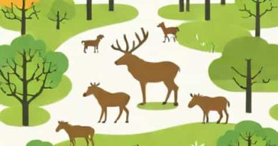 The New Forest Wildlife Park