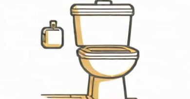 Toilet That Washes And Dries