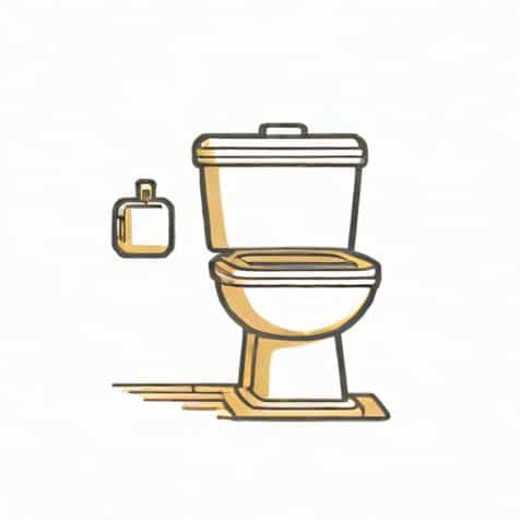 Toilet That Washes And Dries