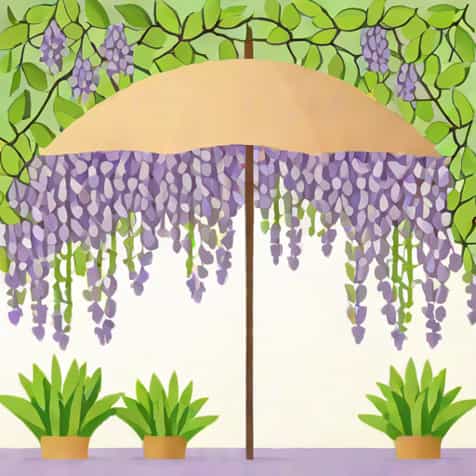 Umbrella Trellis For Wisteria