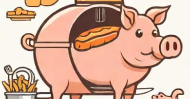 Used Pig Rotisserie For Sale