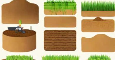 Uses Of Loam Soil In Farming