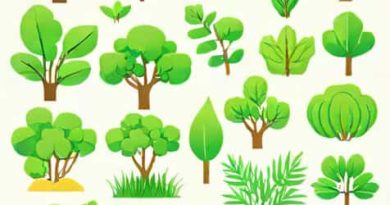 Vegetation Greenness In 2023