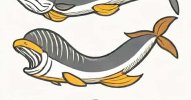 What Do People Use Baleen For