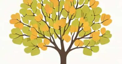 What Is A Bradford Pear Tree