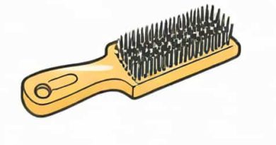 What Is A Soft Bristle Brush