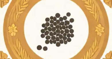 What Is Carom Seeds In Hindi