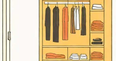 What Is The Criterion Closet