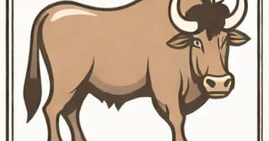 What Is The Full Form Of Gnu