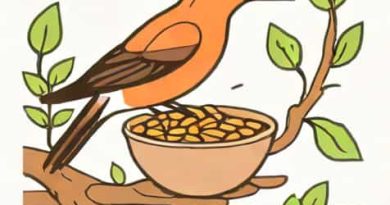 What To Feed A Nestling Bird