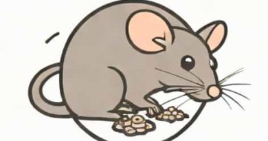 You Feel The Rats Impatience