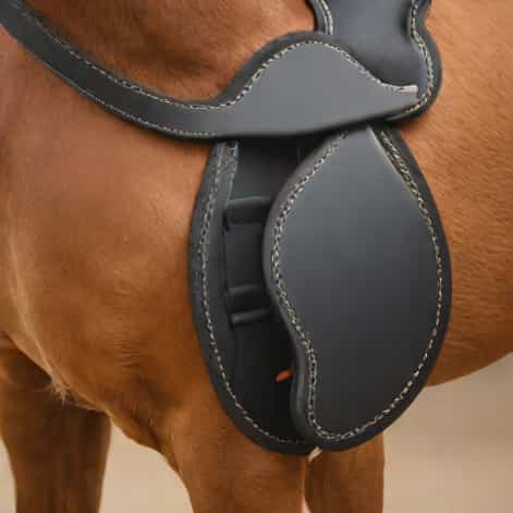 Zandona Superior Air Fetlock