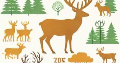 Zone Chasse Cerf De Virginie