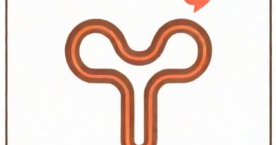 Bilateral Spillage In Fallopian Tube Meaning