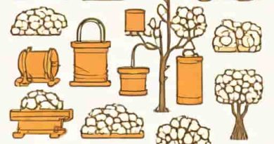 Compendious History Of The Cotton Manufacture