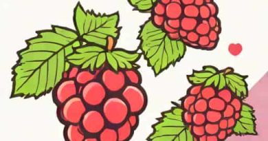 Difference Between Loganberry And Boysenberry