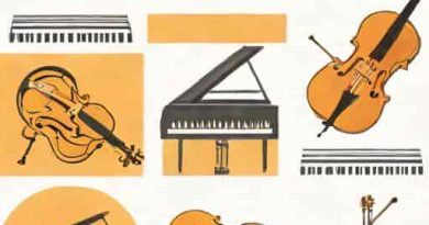 Difference Between Symphony And Philharmonic