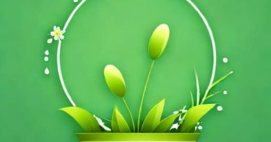 Display Centerpiece Of Sprightly Pe On Green