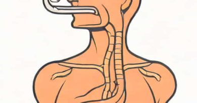 Does Thickening Of The Esophagus Mean Cancer