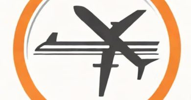 Flight Restrictions Due To Exogenous Factors