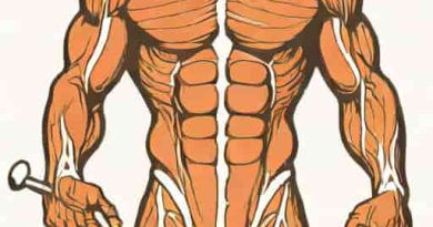 Graded Muscle Contraction Definition Anatomy