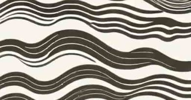 Graphical Representation Of Longitudinal Wave