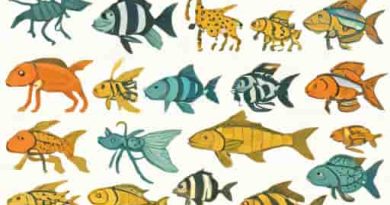 Grouping Contemporaneous Species Into Genera