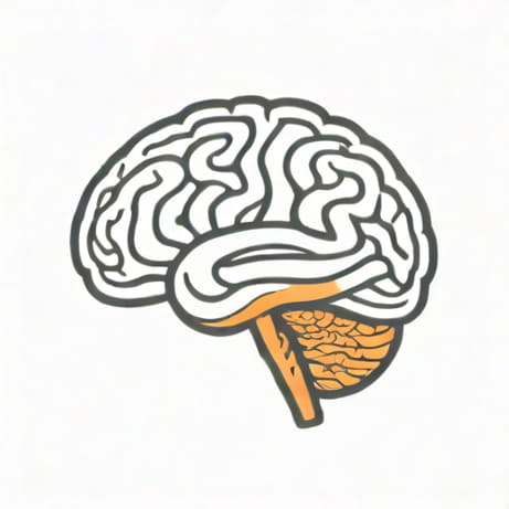 Is The Cerebral Peduncle Part Of The Midbrain