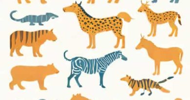 Limitations Of Morphological Species Concept