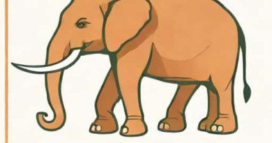 Name The Causative Organism Of Elephantiasis
