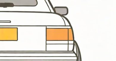 Nearside Registration Plate Lamp Inoperative