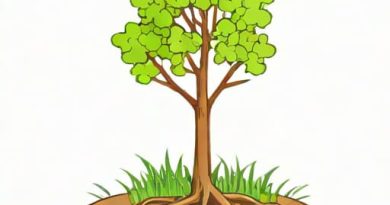 Optimal Growing Conditions For Devil'S Snare
