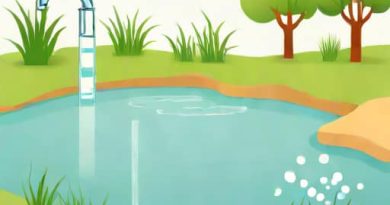 Optimum Level Of Dissolved Oxygen In Fishpond