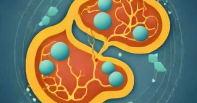 Organelle Responsible For Cellular Respiration