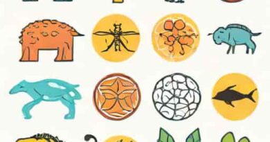 Pros And Cons Of Morphological Species Concept