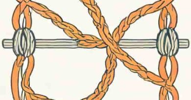 Sliding Filament Theory Of Muscle Contraction