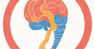 The Function Of The Epiglottis Is To Quizlet