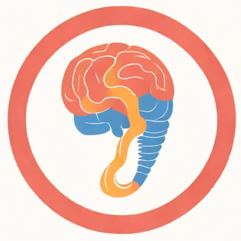 The Function Of The Epiglottis Is To Quizlet