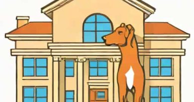 University Of Veterinary And Animal Sciences