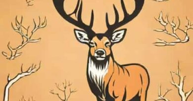 What Is The Biggest Whitetail Deer Ever Killed