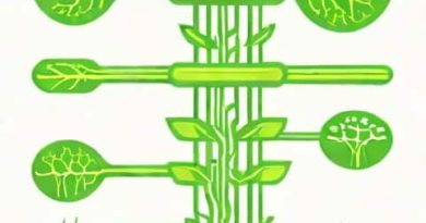 What Is The Function Of Mucilage In Spirogyra