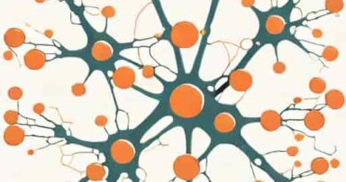 Which Glial Cells Support Neurons Metabolically