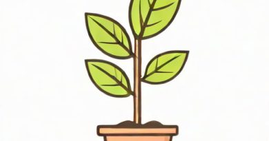 Which Plant Adaptation Promoted Taller Growth
